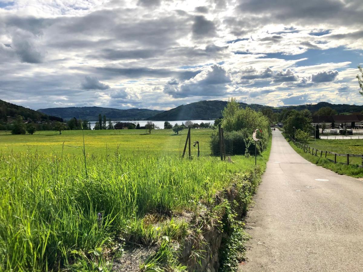 Danner Familien-Ferienwohnungen Schoerfling Am Attersee מראה חיצוני תמונה